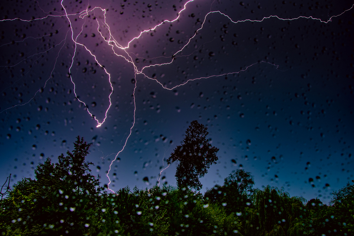 Błyskawica nad drzewem - zdjęcie tytułowe wystawy fotografii Dominika Malinowskiego