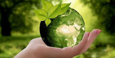 instytut nauk biologicznych