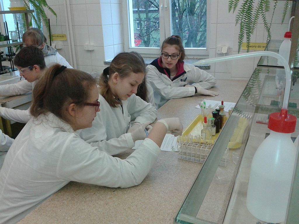 pierwszy dzień w laboratorium