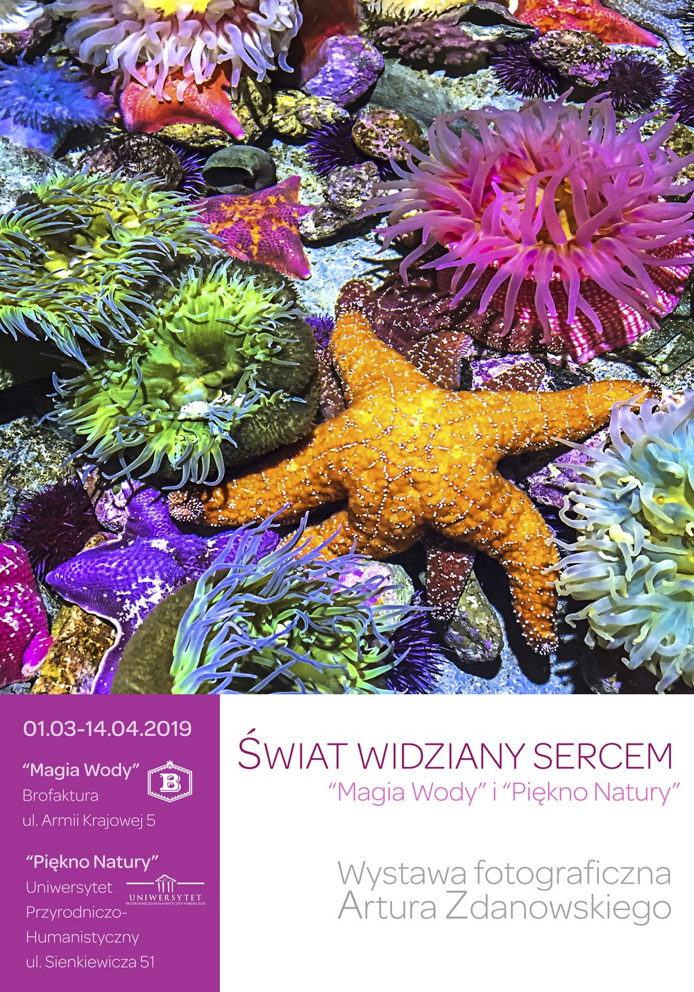 swiat widziany sercem Artur Zdanowski plakat
