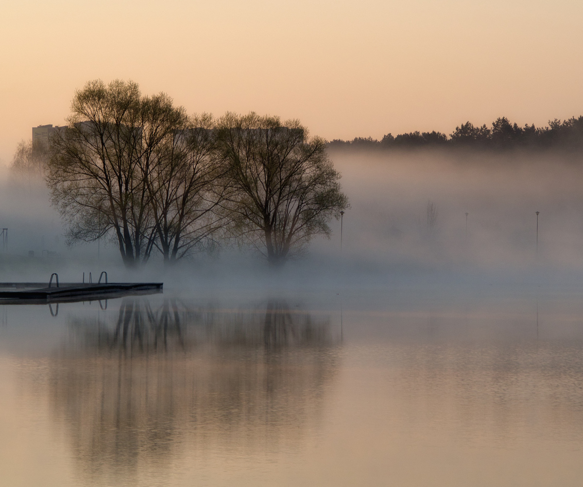 Okoliczności przyrody - Na pierwszym planie lustro wody w oddali kontury dwóch drzew we mgle