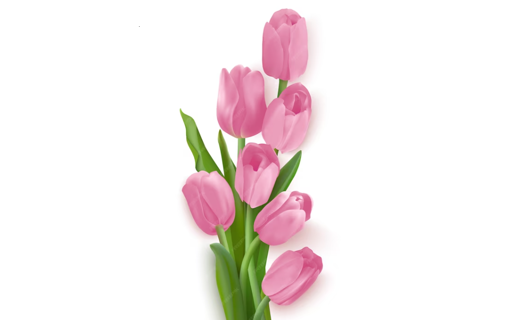 Bukiet pomarańczowych tulipanów